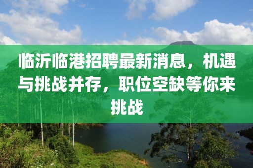 臨沂臨港招聘最新消息，機(jī)遇與挑戰(zhàn)并存，職位空缺等你來(lái)挑戰(zhàn)