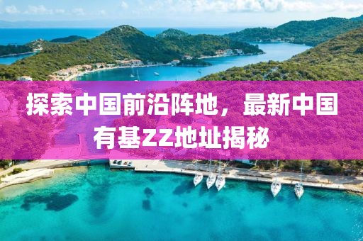 探索中國前沿陣地，最新中國有基ZZ地址揭秘