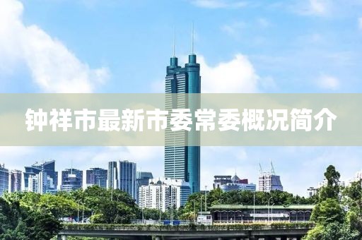 鐘祥市最新市委常委概況簡介