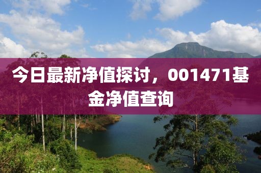 今日最新凈值探討，001471基金凈值查詢