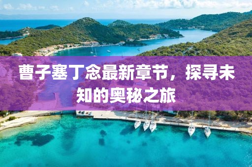 曹子塞丁念最新章節(jié)，探尋未知的奧秘之旅