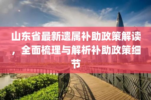 山東省最新遺屬補助政策解讀，全面梳理與解析補助政策細節(jié)