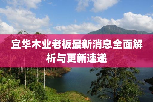 宜華木業(yè)老板最新消息全面解析與更新速遞