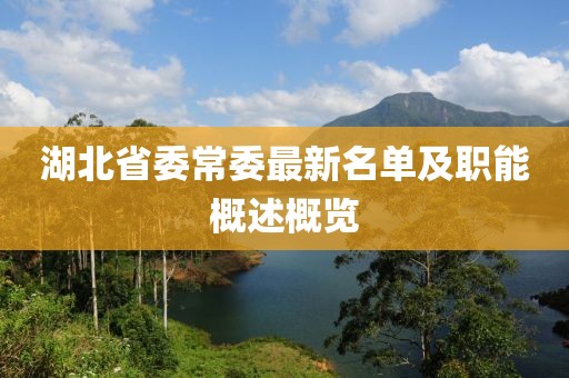 湖北省委常委最新名單及職能概述概覽