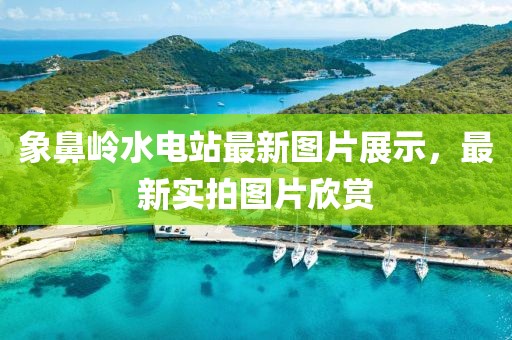 象鼻嶺水電站最新圖片展示，最新實拍圖片欣賞