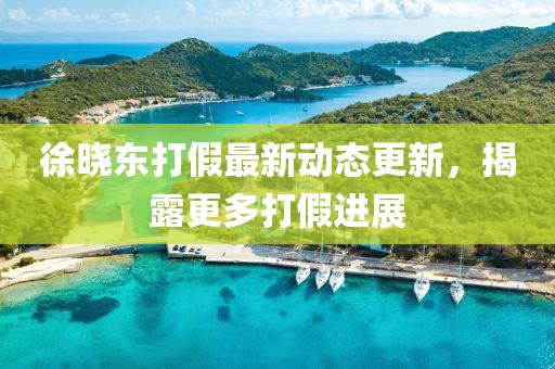 徐曉東打假最新動態(tài)更新，揭露更多打假進(jìn)展