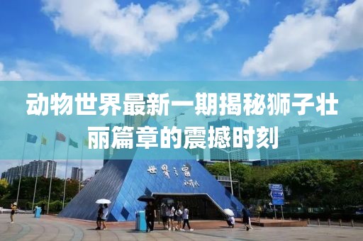 動(dòng)物世界最新一期揭秘獅子壯麗篇章的震撼時(shí)刻