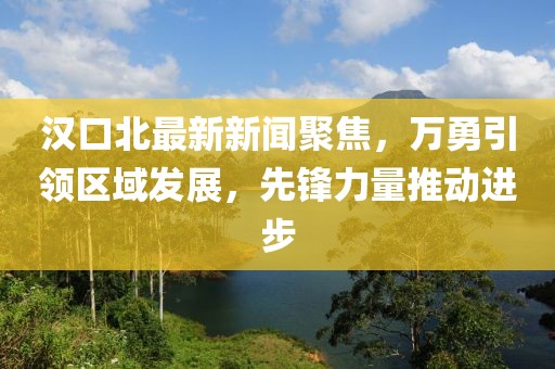 漢口北最新新聞聚焦，萬勇引領(lǐng)區(qū)域發(fā)展，先鋒力量推動(dòng)進(jìn)步