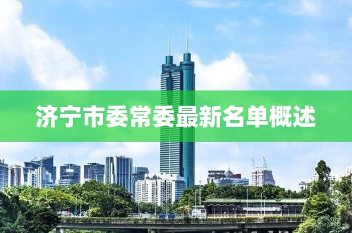 濟(jì)寧市委常委最新名單概述