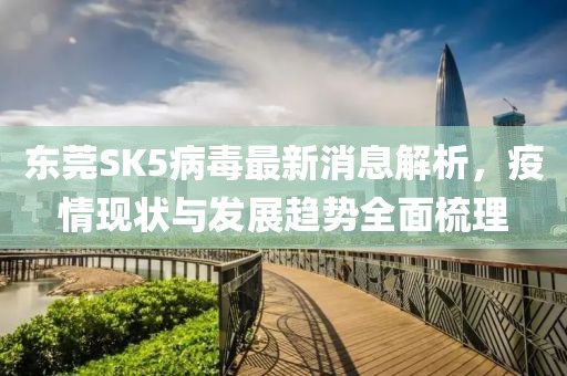 東莞SK5病毒最新消息解析，疫情現(xiàn)狀與發(fā)展趨勢全面梳理