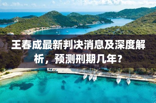 王春成最新判決消息及深度解析，預(yù)測刑期幾年？