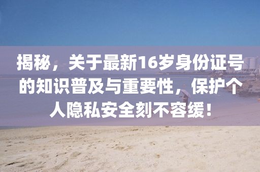 揭秘，關(guān)于最新16歲身份證號(hào)的知識(shí)普及與重要性，保護(hù)個(gè)人隱私安全刻不容緩！