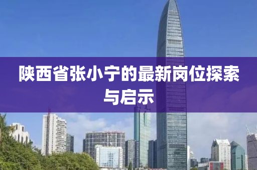 陜西省張小寧的最新崗位探索與啟示