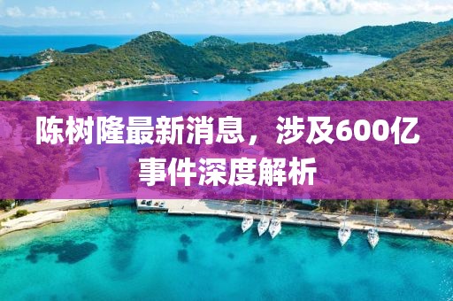 陳樹隆最新消息，涉及600億事件深度解析