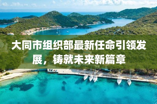 大同市組織部最新任命引領發(fā)展，鑄就未來新篇章