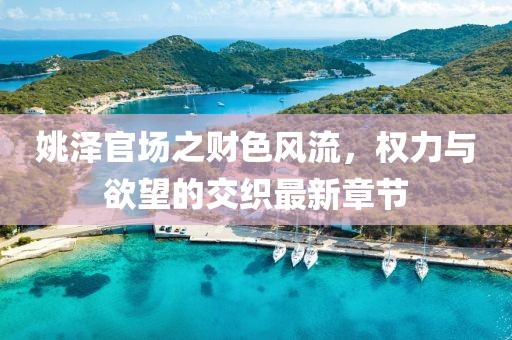 姚澤官場之財色風流，權(quán)力與欲望的交織最新章節(jié)