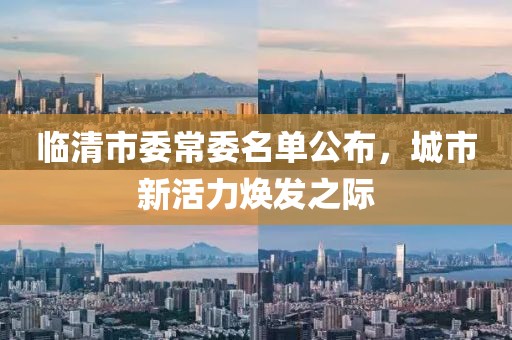 臨清市委常委名單公布，城市新活力煥發(fā)之際