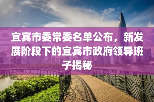 宜賓市委常委名單公布，新發(fā)展階段下的宜賓市政府領(lǐng)導(dǎo)班子揭秘