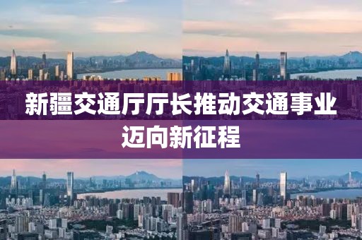 新疆交通廳廳長(zhǎng)推動(dòng)交通事業(yè)邁向新征程