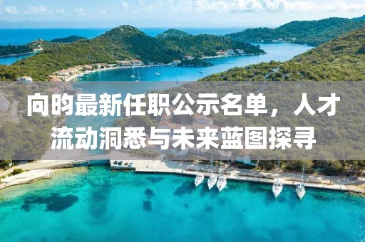 向昀最新任職公示名單，人才流動洞悉與未來藍(lán)圖探尋