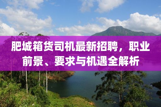 肥城箱貨司機(jī)最新招聘，職業(yè)前景、要求與機(jī)遇全解析