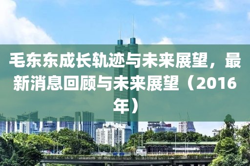 毛東東成長軌跡與未來展望，最新消息回顧與未來展望（2016年）