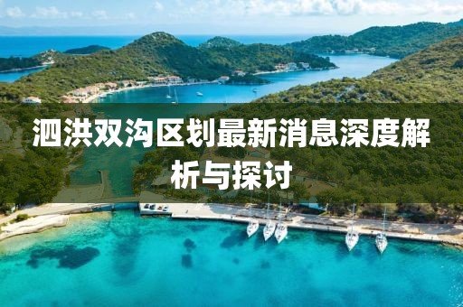 泗洪雙溝區(qū)劃最新消息深度解析與探討