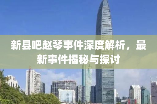 新縣吧趙琴事件深度解析，最新事件揭秘與探討