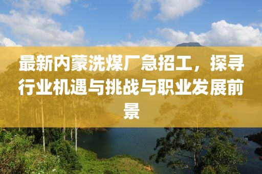 最新內(nèi)蒙洗煤廠急招工，探尋行業(yè)機遇與挑戰(zhàn)與職業(yè)發(fā)展前景