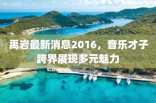 禹巖最新消息2016，音樂才子跨界展現(xiàn)多元魅力