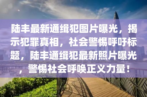 陸豐最新通緝犯圖片曝光，揭示犯罪真相，社會警惕呼吁標題，陸豐通緝犯最新照片曝光，警惕社會呼喚正義力量！