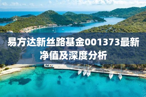 易方達(dá)新絲路基金001373最新凈值及深度分析