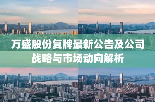 萬盛股份復牌最新公告及公司戰(zhàn)略與市場動向解析