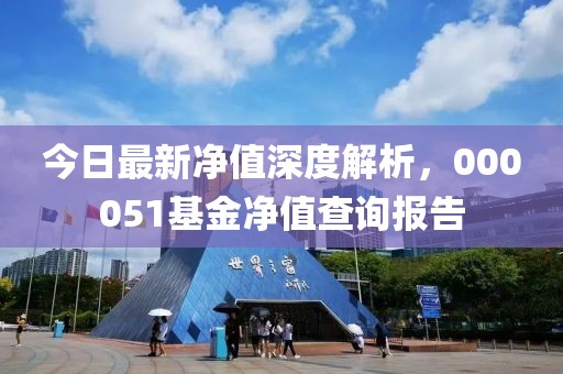 今日最新凈值深度解析，000051基金凈值查詢(xún)報(bào)告