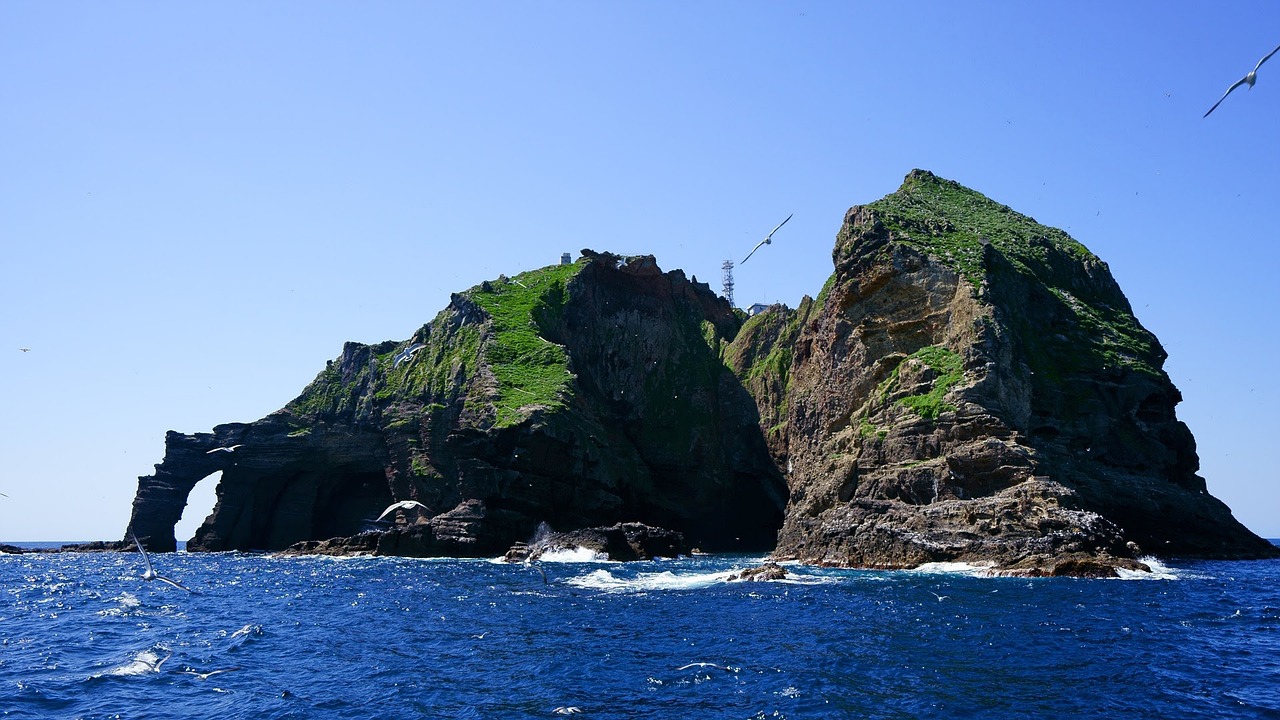 鈞魚島最新消息視頻揭秘，東海釣魚島爭端的新動態(tài)