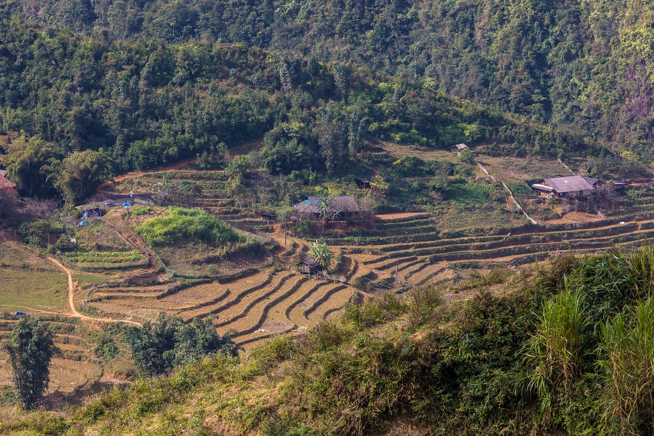 符離鎮(zhèn)最新規(guī)劃圖揭曉，展望繁榮未來，符離鎮(zhèn)2016規(guī)劃展望