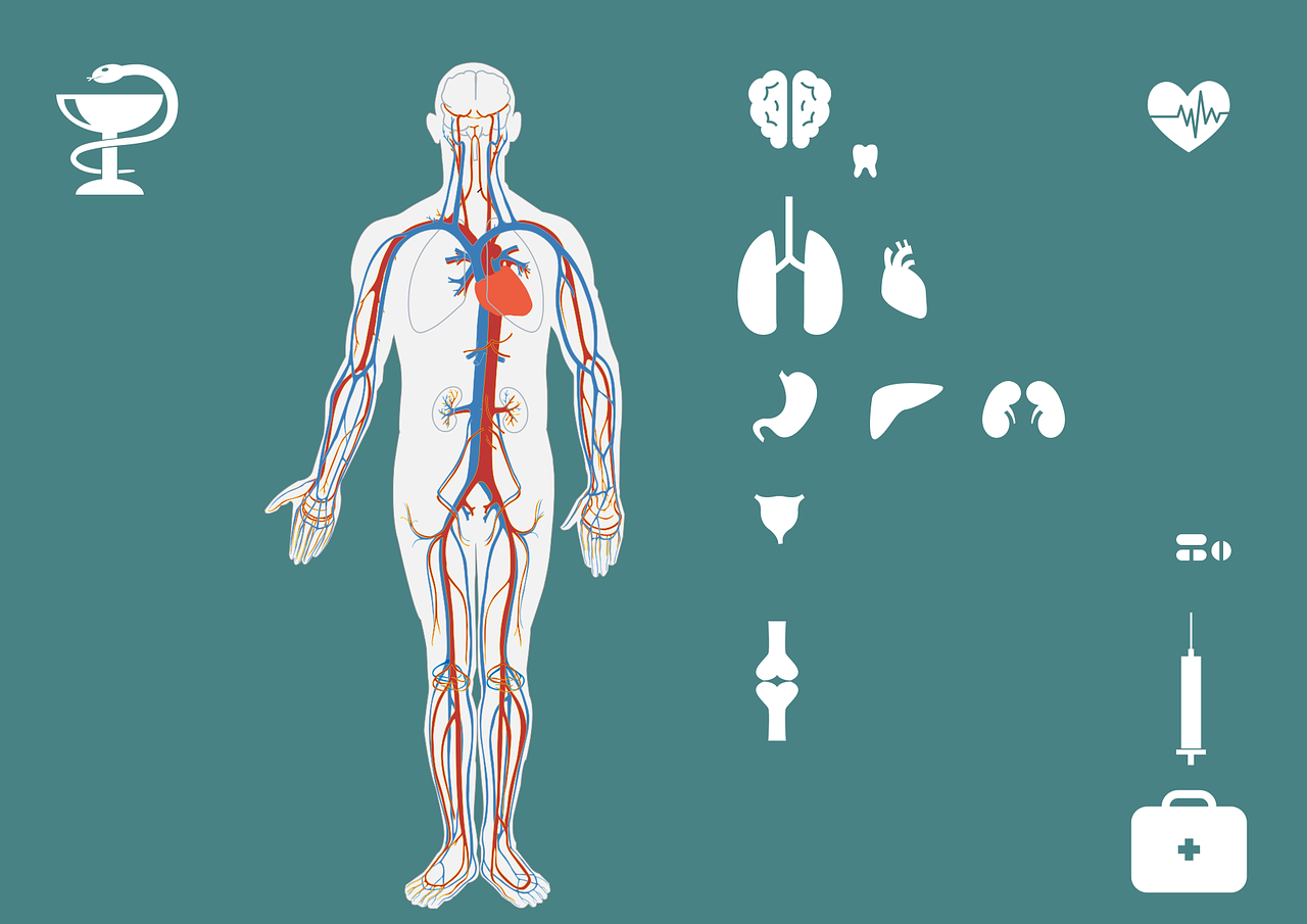 急診搶救流程圖優(yōu)化，提升搶救成功率與急救服務(wù)質(zhì)量