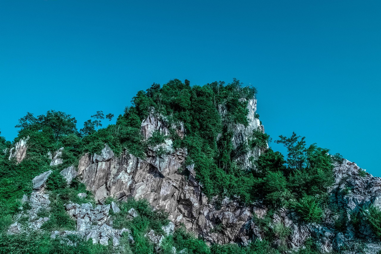 傳藝科技股票最新消息綜述，掌握最新動態(tài)，洞悉股市走向